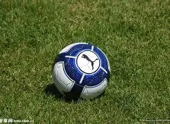 开云体育平,资讯,开云体育平台,开云体育,开云体育官网,开云体育app,开云体育平台,KAIYUN,SPORTS,kaiyun登录入口