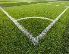 开云体育平,资讯,开云体育平台,开云体育,开云体育官网,开云体育app,开云体育平台,KAIYUN,SPORTS,kaiyun登录入口