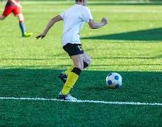 星途闪耀广,州车展,全明星阵容,开云体育,开云体育官网,开云体育app,开云体育平台,KAIYUN,SPORTS,kaiyun登录入口