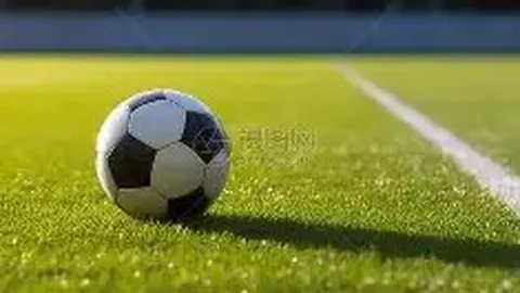 开云体育平台 资讯 131040 1ke