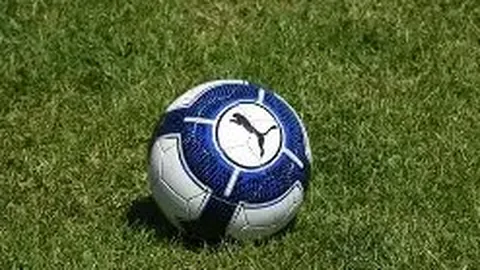 开云体育平台 资讯 131039 xia