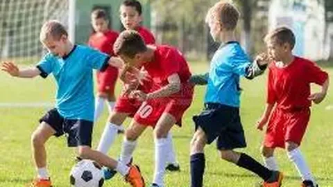 开云体育平台 产品 113847 ddh