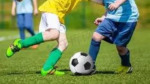 开云体育平台 资讯 131046 rl3