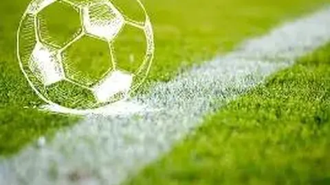 开云体育平台 资讯 132128 ob8