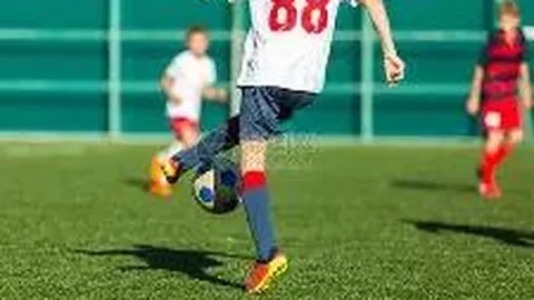 开云体育平台 资讯 104212 fn4